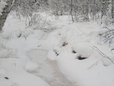 Западно-Каренское месторождение